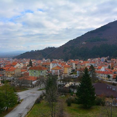 Hotel King Alexander Florina Exteriér fotografie
